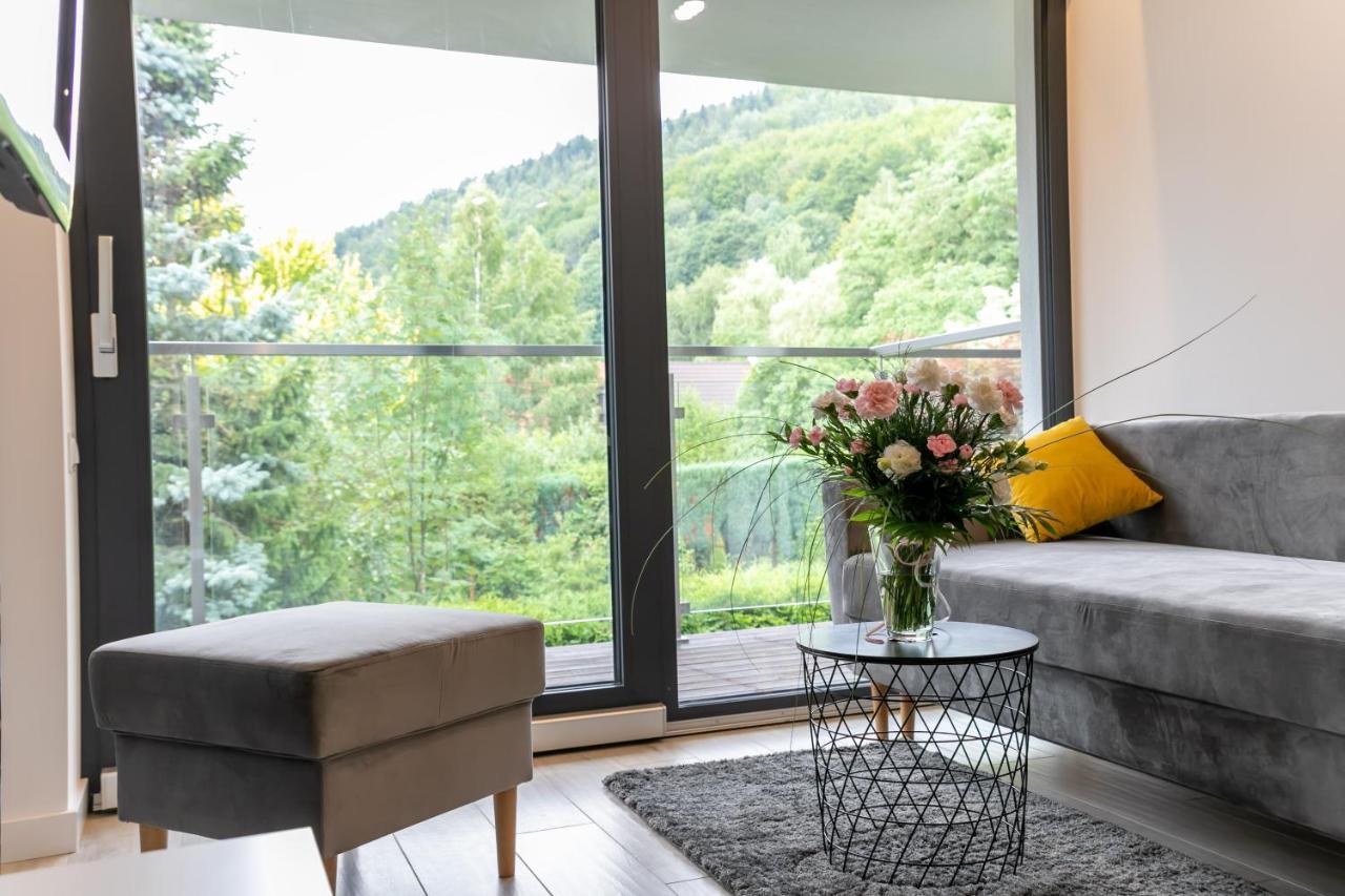 Apartamenty Kalinowa Z Sauna I Bawialnia - Dream Apart Szczyrk Exteriér fotografie